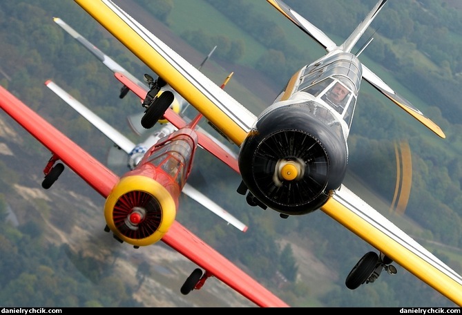 Yak-52 formation