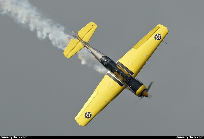 Yakovlev Yak-52TW