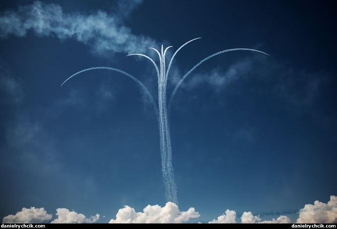 Red Arrows