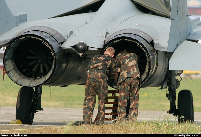 MiG-29 - Hungarian Air Force