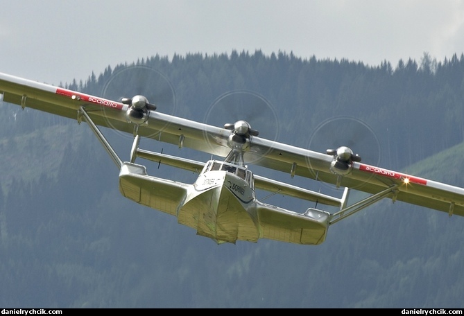 Dorner Do-24 ATT