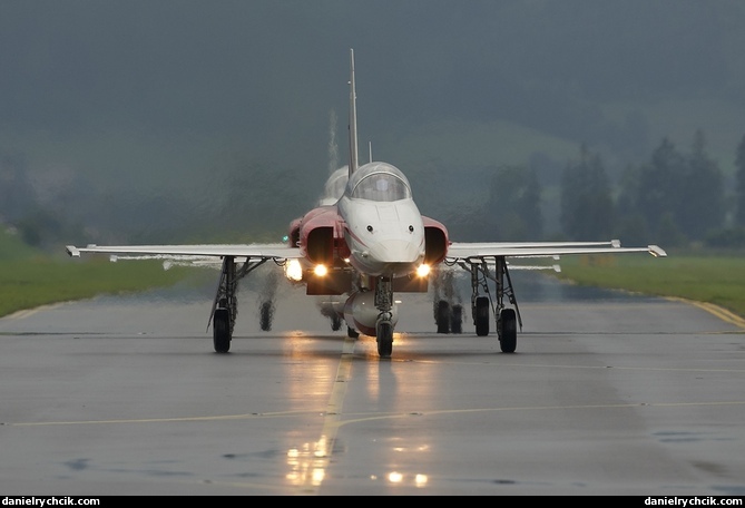 Patrouille Suisse (F-5 Tiger II)