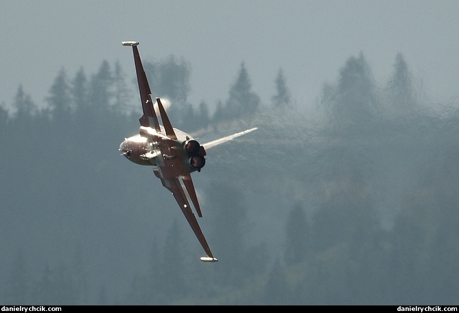 Patrouille Suisse (F-5 Tiger II)