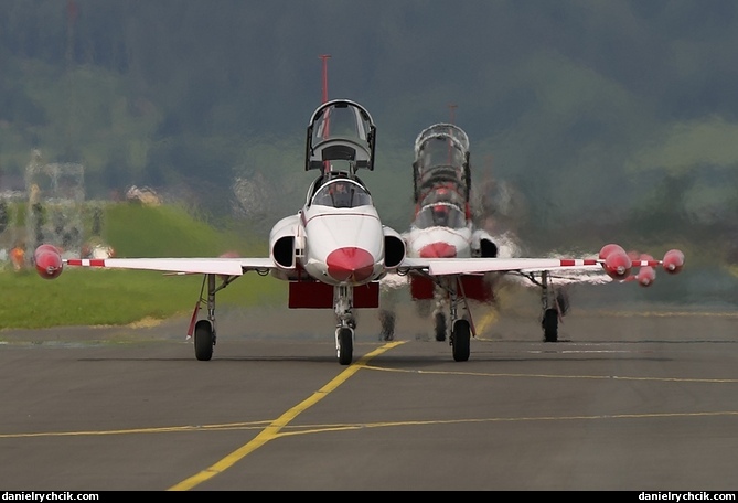 Turkish Stars (F-5 Freedom Fighter)