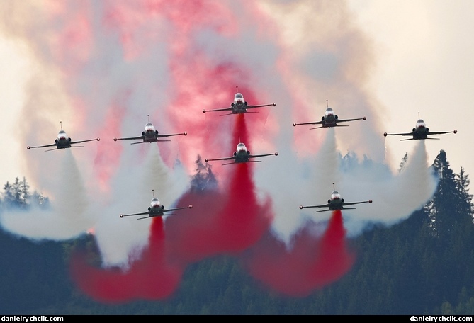 Turkish Stars (F-5 Freedom Fighter)