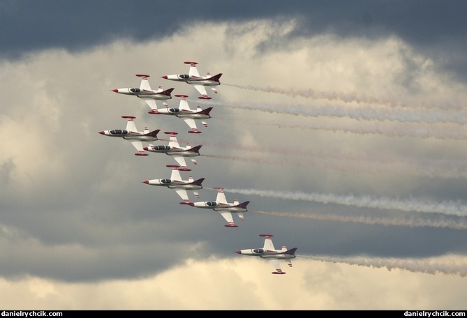 Turkish Stars (F-5 Freedom Fighter)