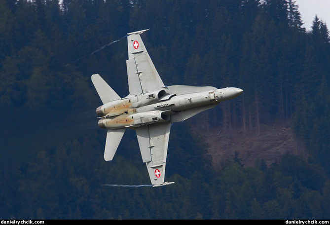 F/A-18C Hornet solo display (Swiss Air Force)