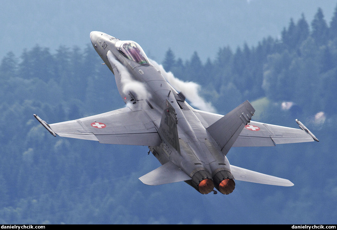 F/A-18C Hornet solo display (Swiss Air Force)