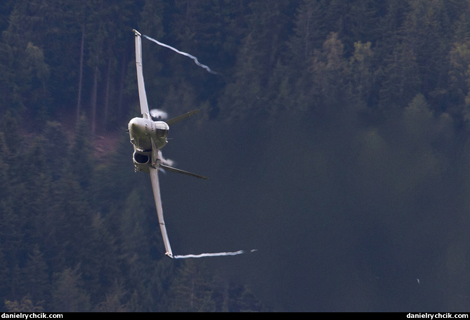 F/A-18C Hornet solo display (Swiss Air Force)