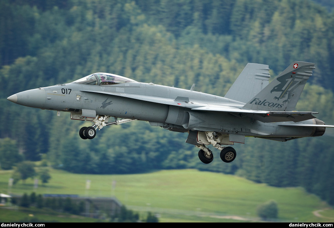 F/A-18C Hornet solo display (Swiss Air Force)