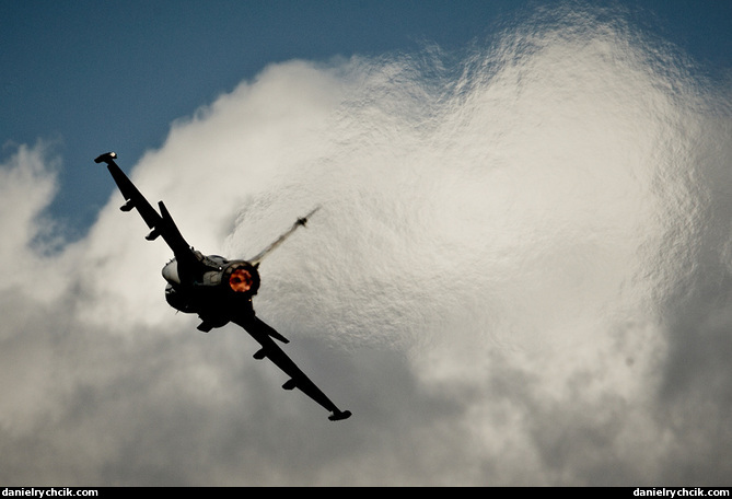 JAS-39C Gripen (Czech Air Force solo display)