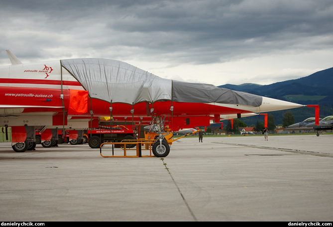 Patrouille Suisse (Northrop F-5E Tiger II)