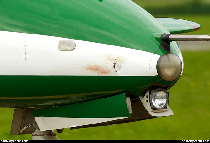 Saudi Hawk after bird strike