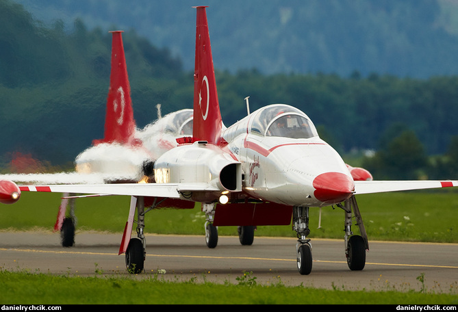 Turkish Stars (Northrop NF-5A Freedom Fighter)