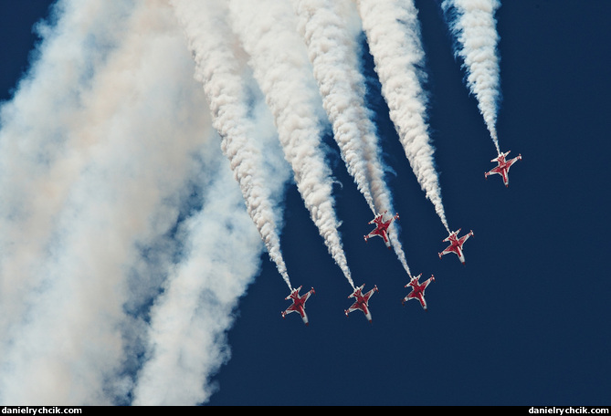 Turkish Stars (Northrop NF-5A Freedom Fighter)