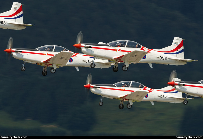 Wings of Storm (Croatian Air Force display team)