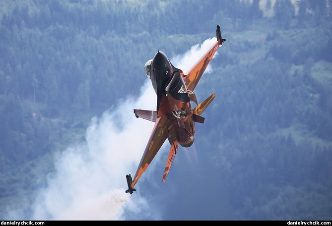 General Dynamics F-16AM Fighting Falcon - RNLAF solo display