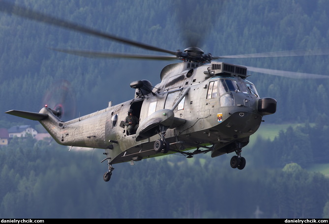 Westland Sea King MK41 (German Navy)