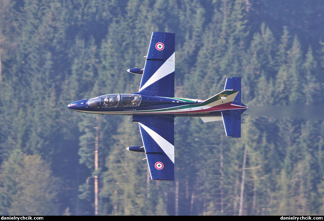 Frecce Tricolori