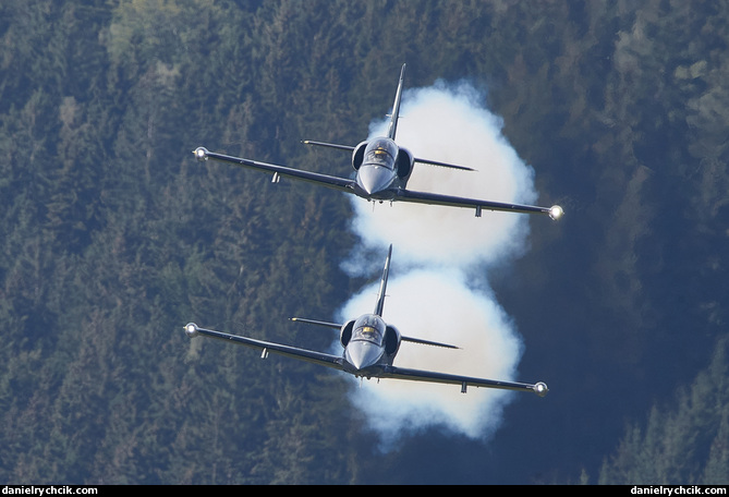 Breitling Jet Team