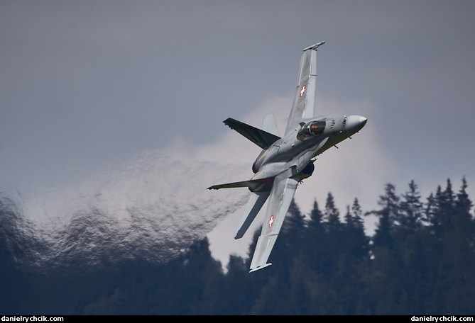 McDonnell Douglas F/A-18C (Swiss Air Force)