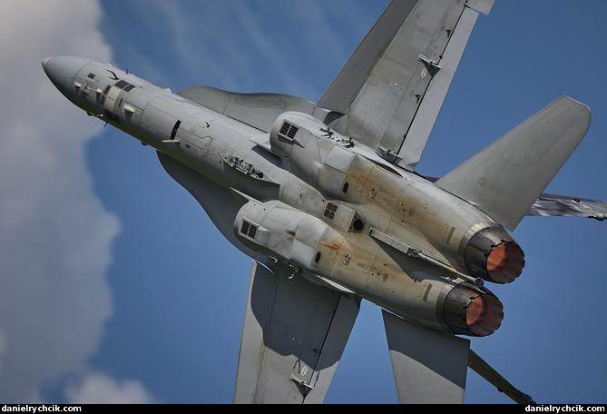 McDonnell Douglas F/A-18C (Swiss Air Force)