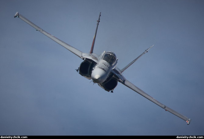 McDonnell Douglas F/A-18C (Swiss Air Force)