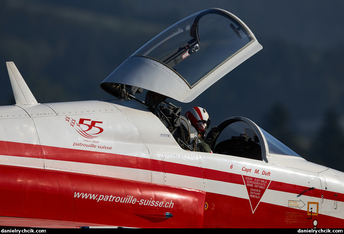 Northrop F-5E Tiger II (Patrouille Suisse)