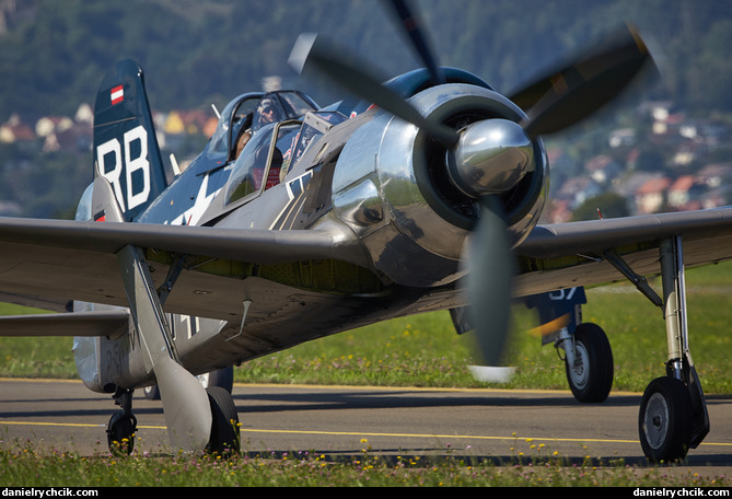 Focke-Wulf FW190 and F-4U Corsair formation