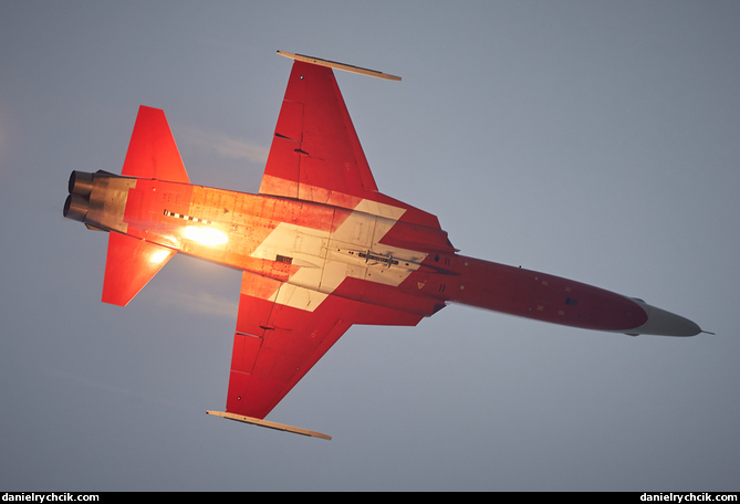 Northrop F-5E Tiger II (Patrouille Suisse)