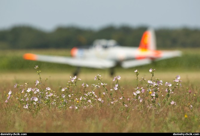 Ambiance with DHC Chipmunk