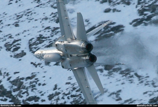 McDonnell Douglas F/A-18C Hornet