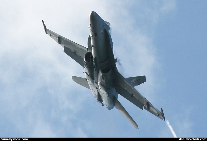 McDonnell Douglas F/A-18C Hornet