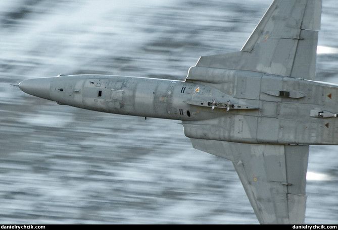 Northrop F-5E Tiger II