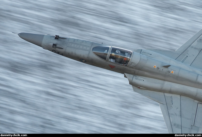 Northrop F-5E Tiger II