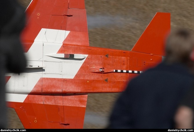 Patrouille Suisse F-5E Tiger passing close to the public