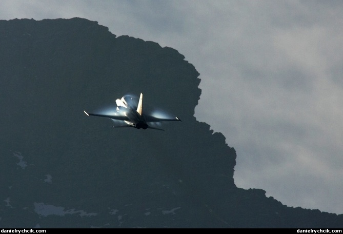 Northrop F-5E Tiger II