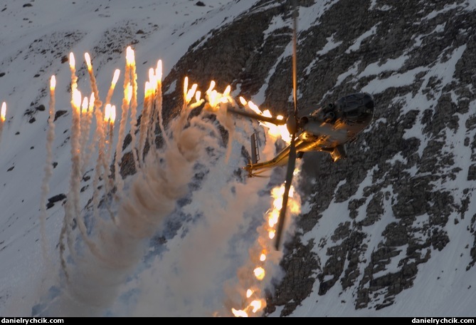 Cougar starting the demonstration