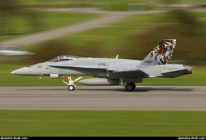 F-18 Hornet landing in the Meiringen airbase