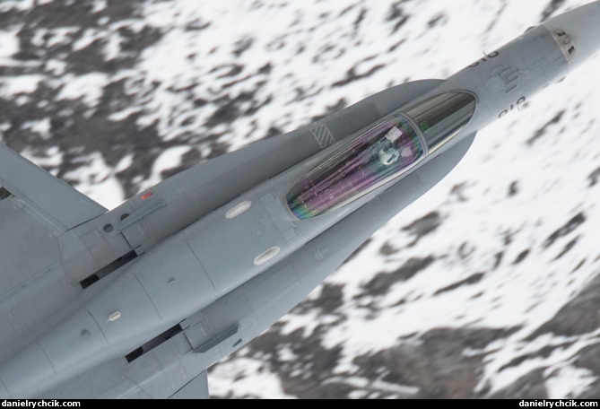 McDonnell Douglas F/A-18C Hornet