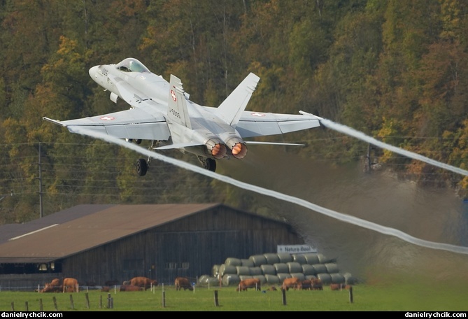 F-18 Hornet taking off from Meiringen airbase