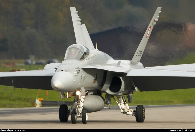 F-18 Hornet landing in the Meiringen airbase