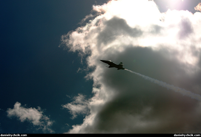 Northrop F-5E Tiger (Patrouille Suisse)