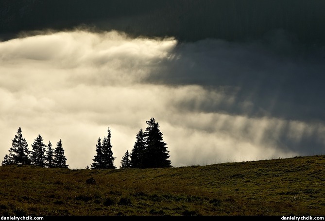 Axalp landscape