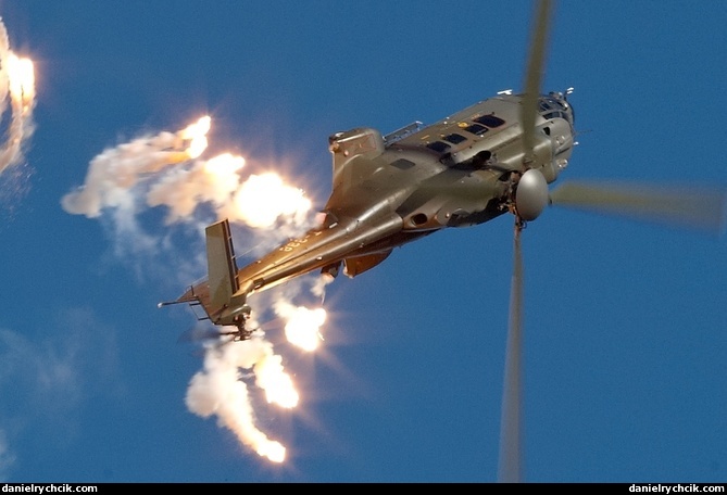 Cougar display beginning with flares