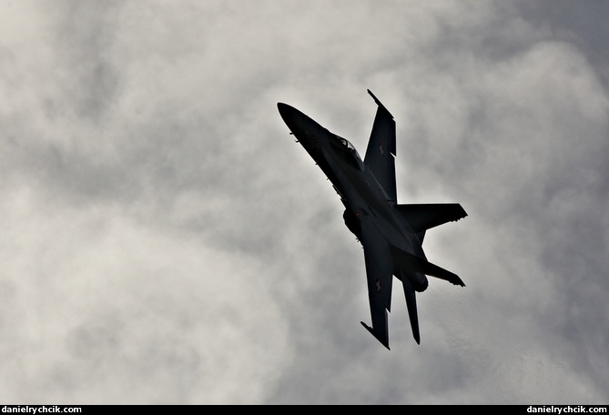 McDonnell Douglas F/A-18C Hornet