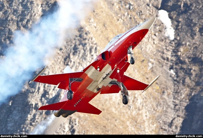F-5E Tiger of Patrouille Suisse flying gear-down
