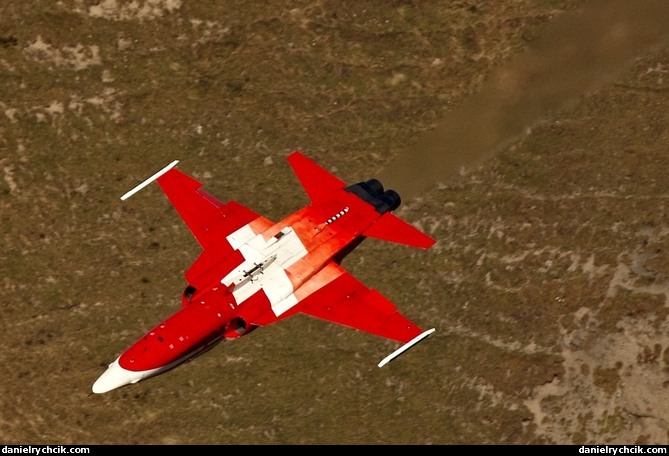 F-5E Tiger of Patrouille Suissei flying low & inverted