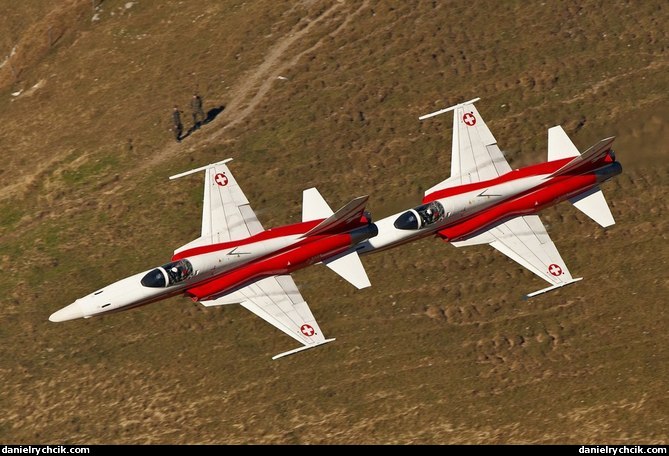 Two Tigers of Patrouille Suisse passing through the valley