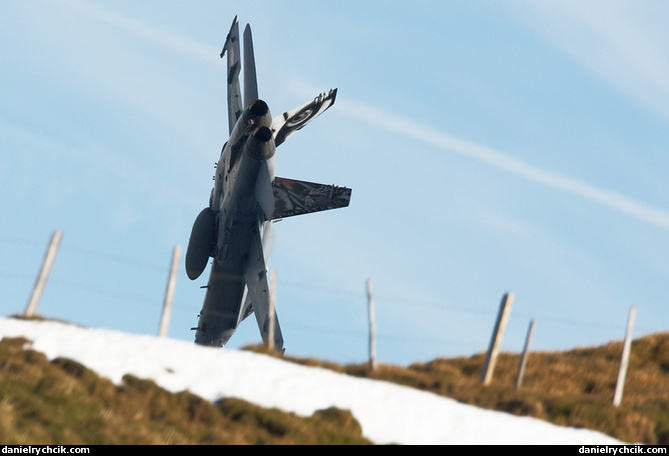 McDonnell Douglas F/A-18C Hornet